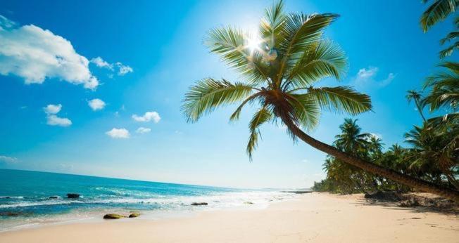 Tai Phong Tien Phu Quoc Hotel 외부 사진